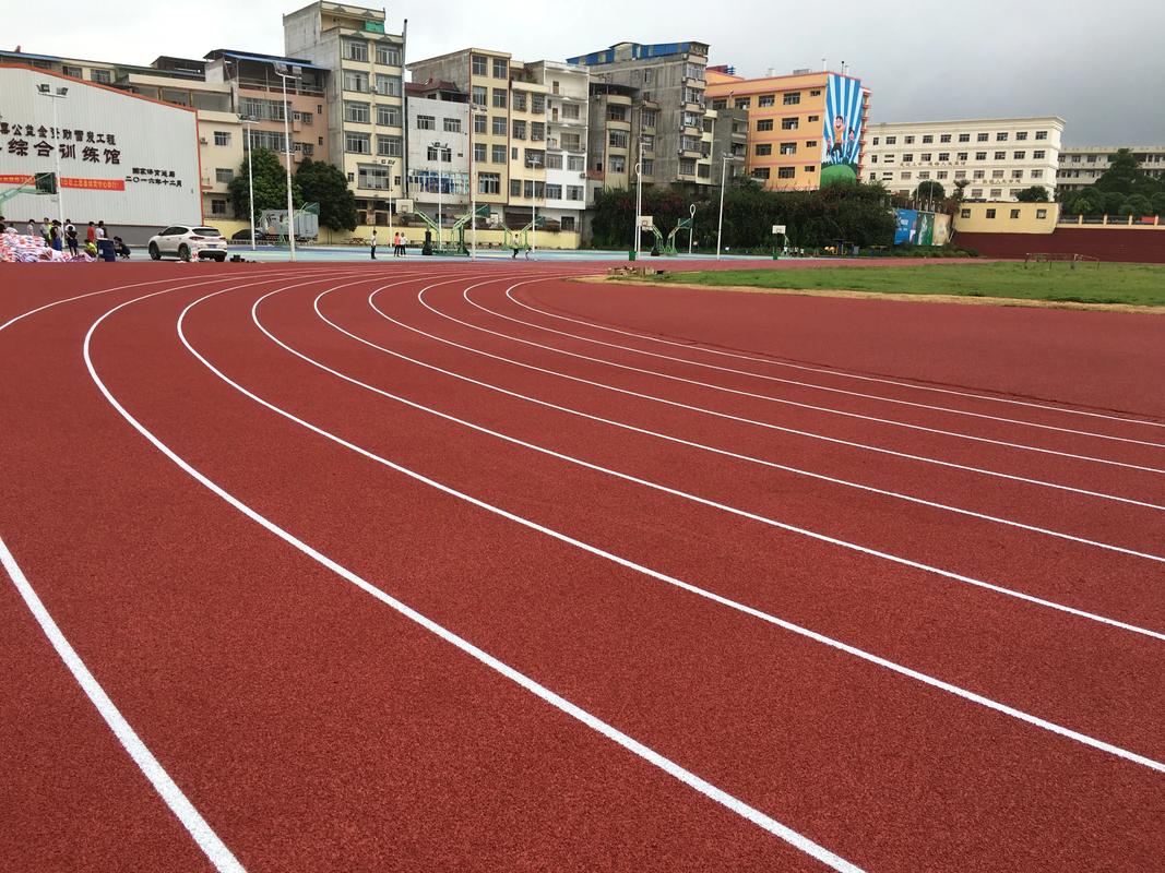 东方市学校塑胶跑道塑胶跑道材料 - 推荐